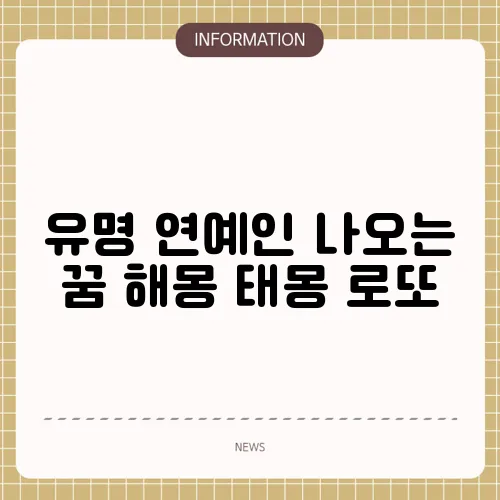 유명 연예인 나오는 꿈 해몽 태몽 로또