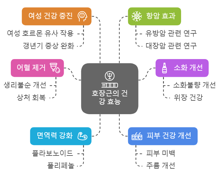 호장근 효능