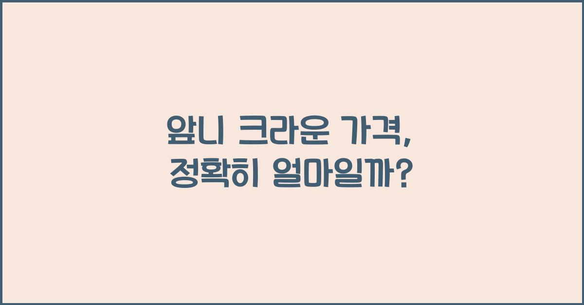 앞니 크라운 가격