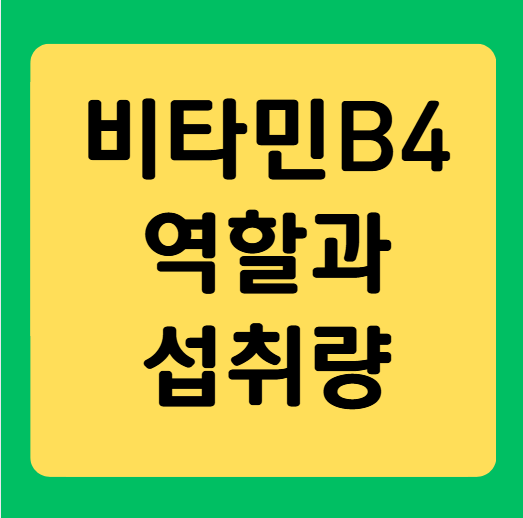 비타민 B4(콜린) 효능과 권장 섭취량