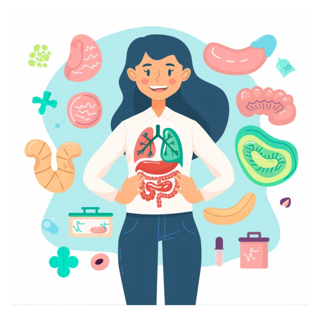 콘드로이친과 관련된 사진입니다.