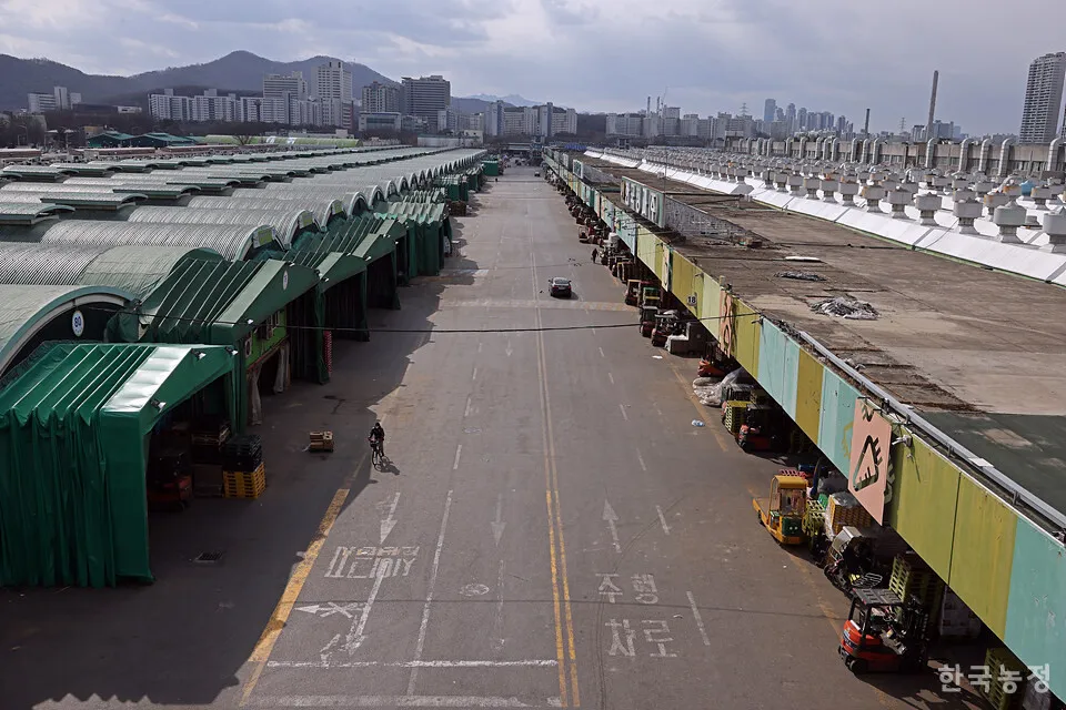 가락시장 맛집 회센터 수산시장 꽃게_1