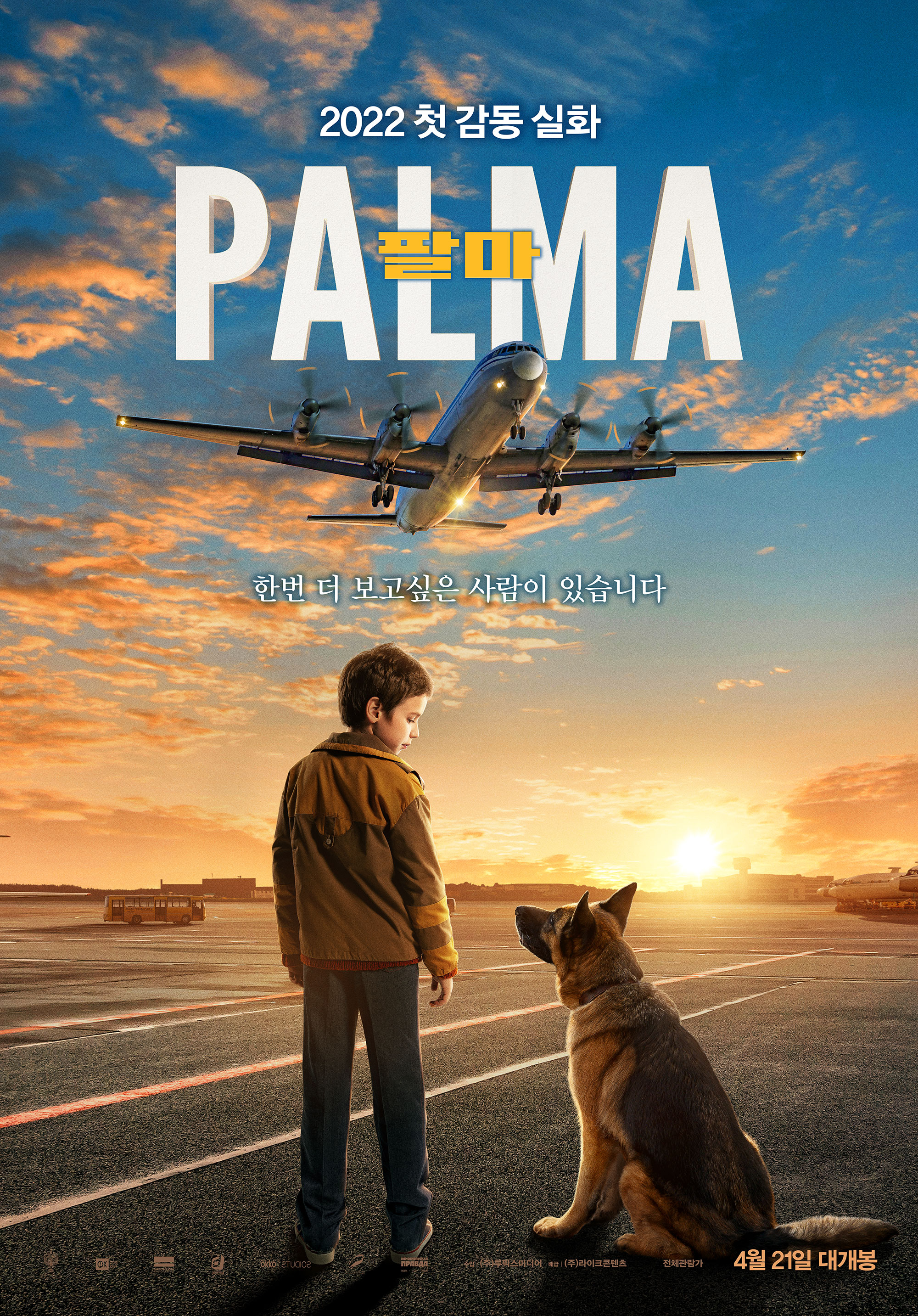 《팔마 (A Dog Named Palma, 2021)》 – 줄거리, 인물, 감상 포인트, 수상, 제작 비하인드