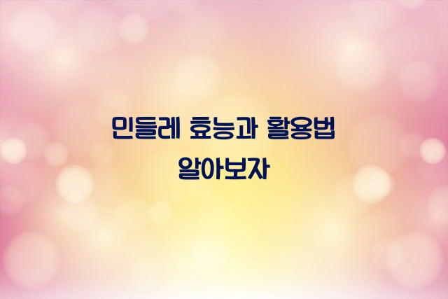 민들레 효능