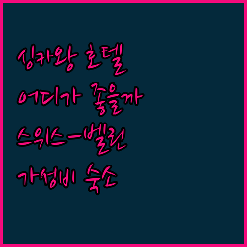싱카왕 호텔 어디가 좋을까? 스위스-..