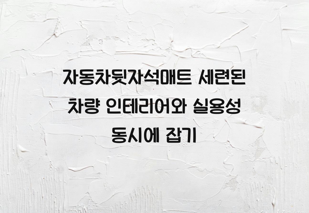 자동차뒷자석매트