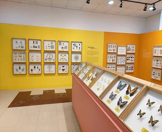 강화자연사박물관