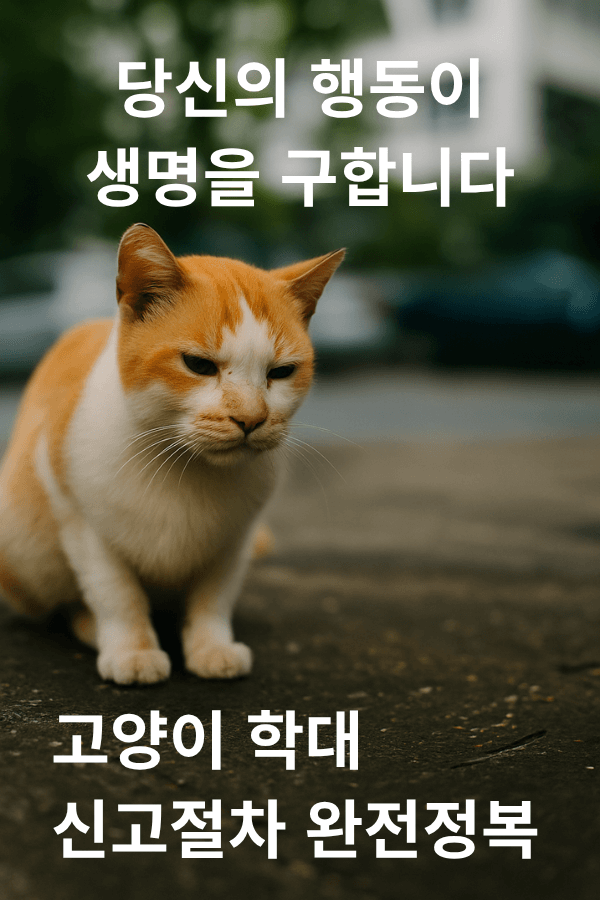고양이 학대 발견 시 이렇게 신고하세요 &ndash; 길고양이 보호 가이드