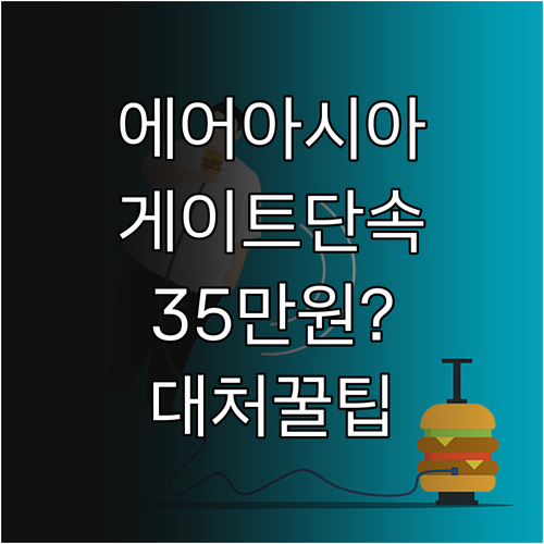 에어아시아 게이트 수하물 단속 현실 ..