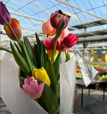 튤립꽃다발만들기