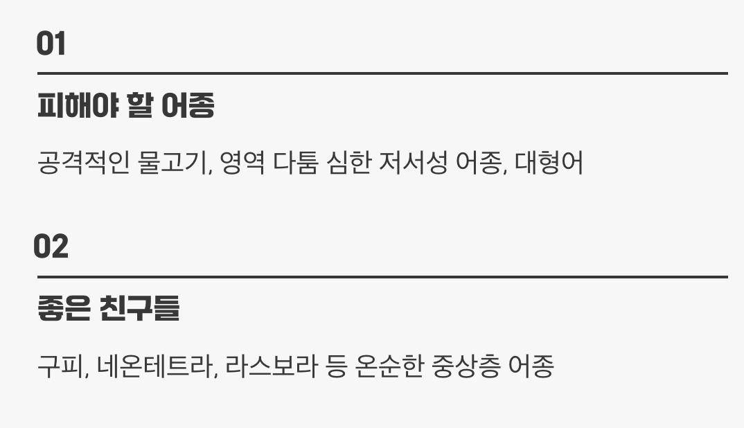 5. 평화를 위협하는 &amp;#39;잘못된 친구들&amp;#39;