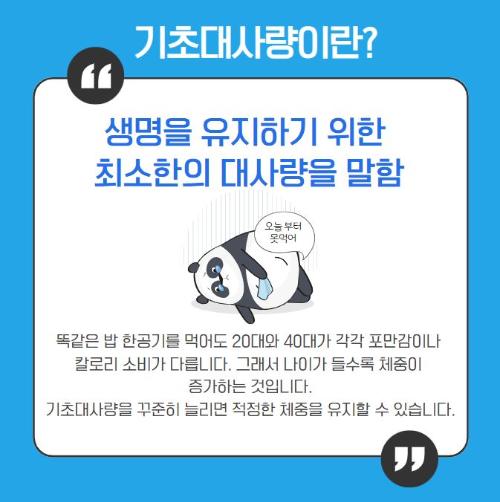 기초대사량이란?