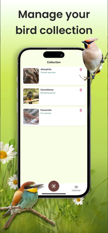 새 이름 찾기 앱, 핸드폰 사진으로 조류 이름 검색, 조류 도감 보기