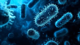 슈퍼박테리아 감염 증가 추세