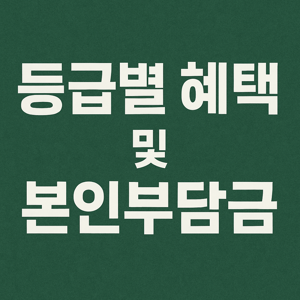 등급별 혜택 및 본인부담금