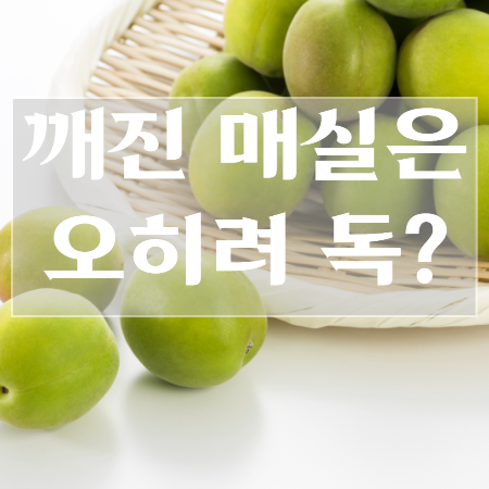 매실액기스-효능