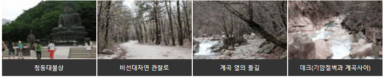 공룡비선대