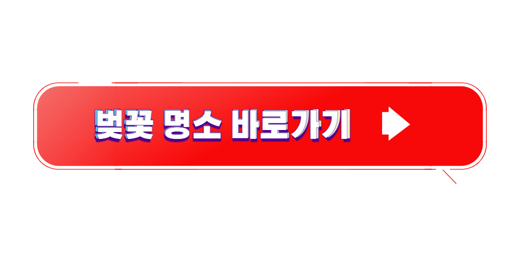 벚꽃 명소 바로가기