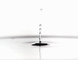 "부자들의 건강 비결" : 물만 잘 마셔도 건강해진다!