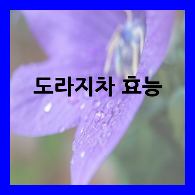 도라지차 효능