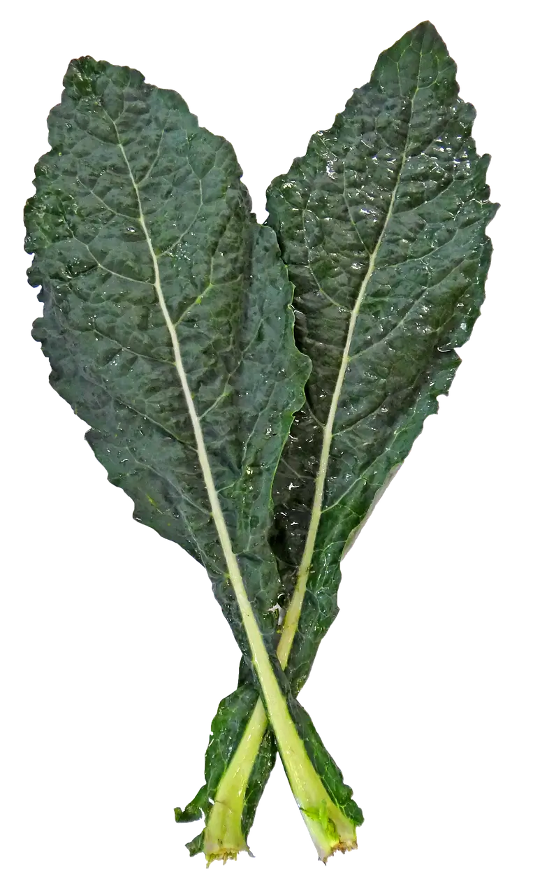 갑상선 건강에 좋은 음식 10가지