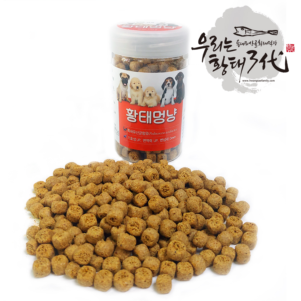 용대리 황태멍냥_우리는 황태 3대