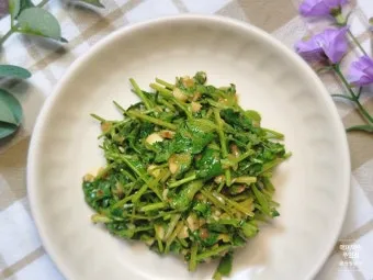 고수 나물 요리 재배 먹는법 무침 김치 만드는 법_17