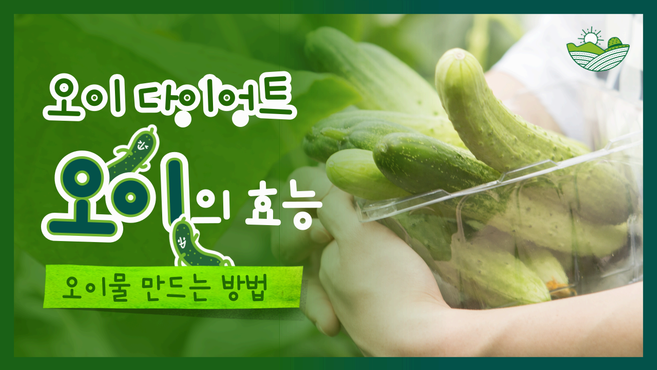 오이다이어트 오이의 효능 오이물 만드는 방법