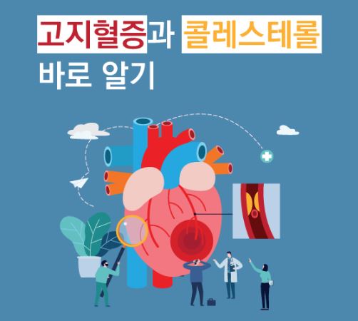 2026 고혈압&middot;고지혈증 관리법 (운동, 식단, 생활습관)