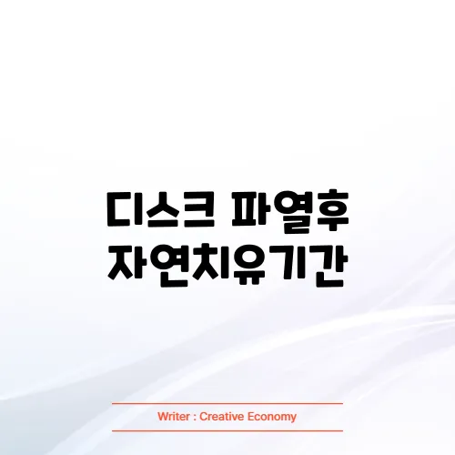 디스크 파열후 자연치유기간