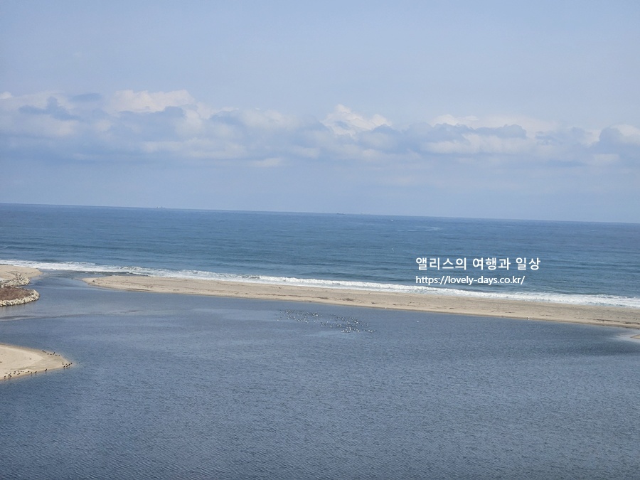 왕피천 케이블카 예약 가격 환급방법 탑승 후기 산책길 가볼만한곳