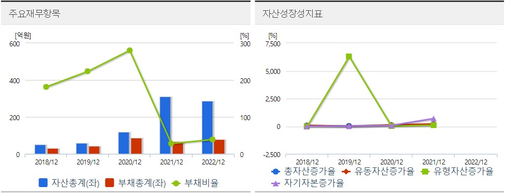 씨이랩재무분석표