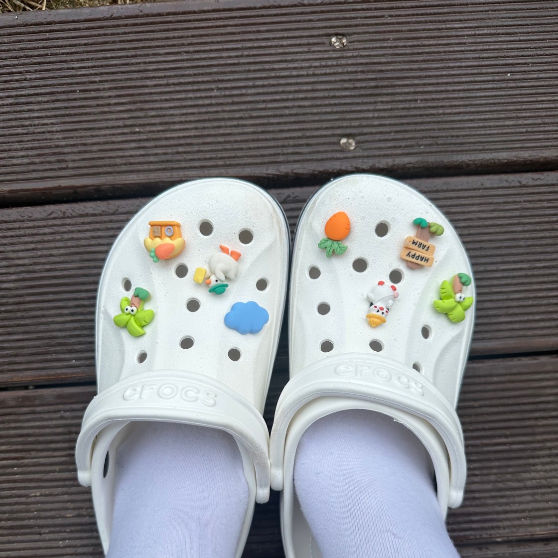 크록스 지비츠1