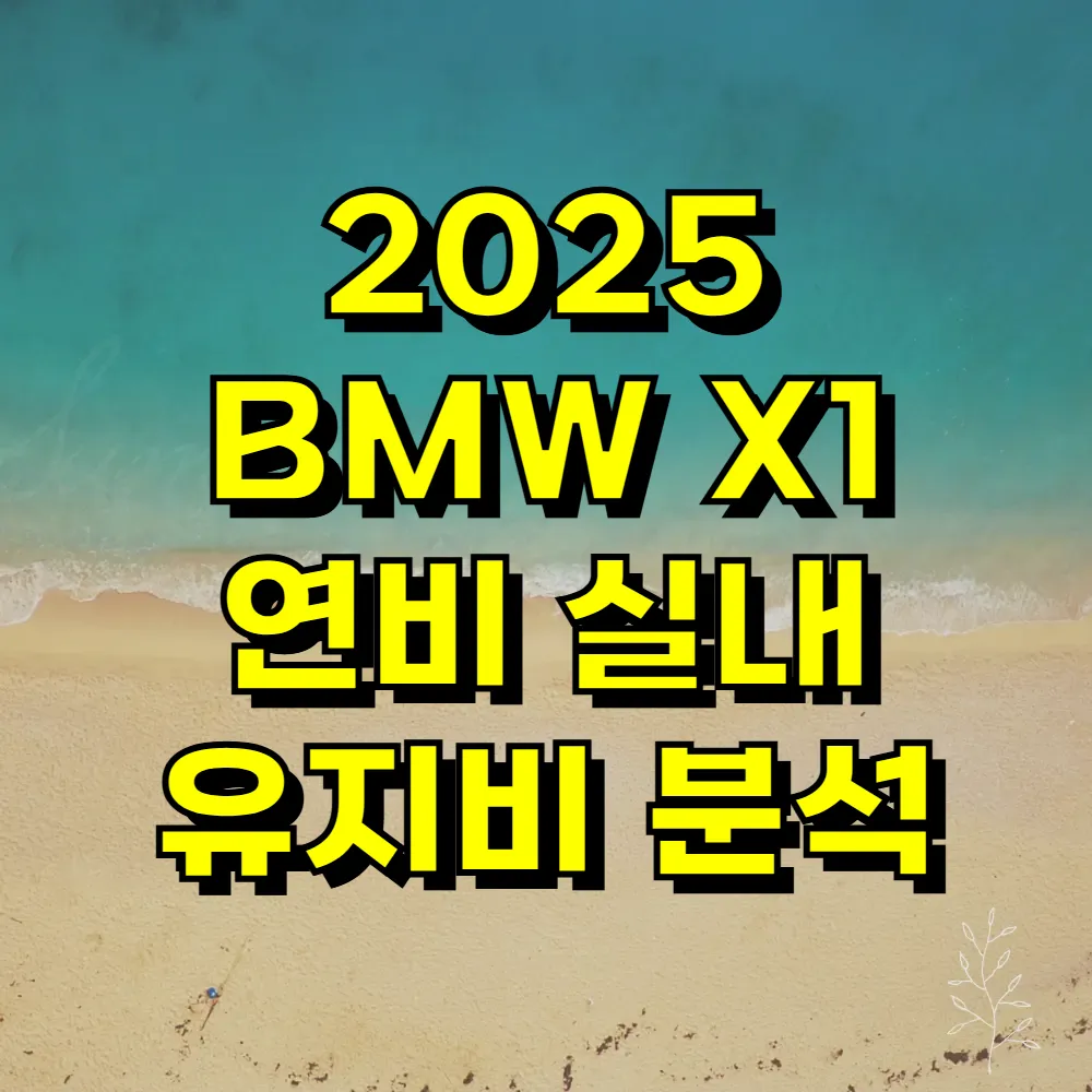 2025 BMW X1 연비 실내 유지비 분석