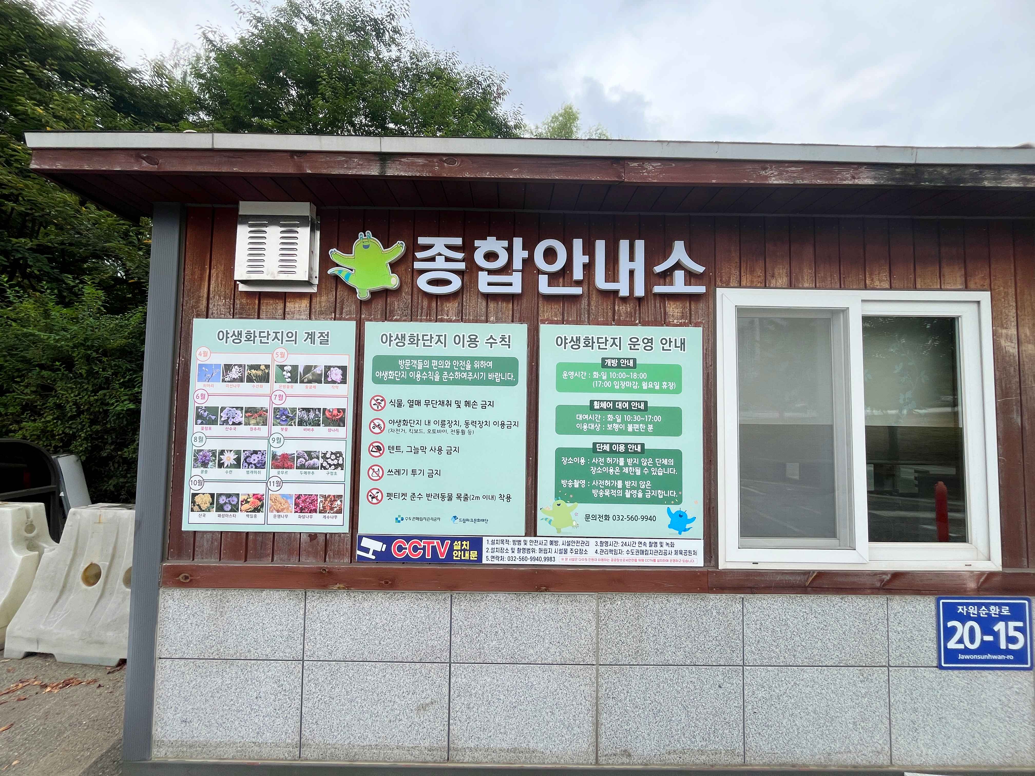 인천 드림파크 야생화단지 버베나