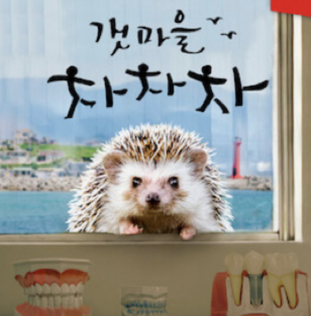 갯마을 차차차 고슴도치