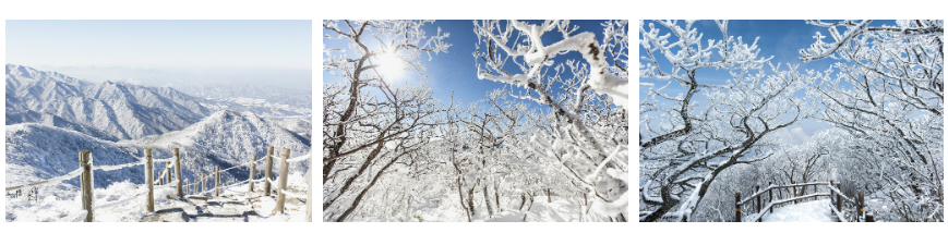 눈꽃 산행, 안전하게 즐기기 위한 5가지 팁