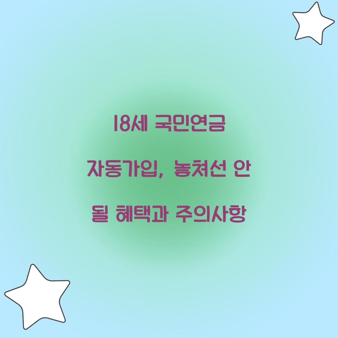 18세 국민연금 자동가입