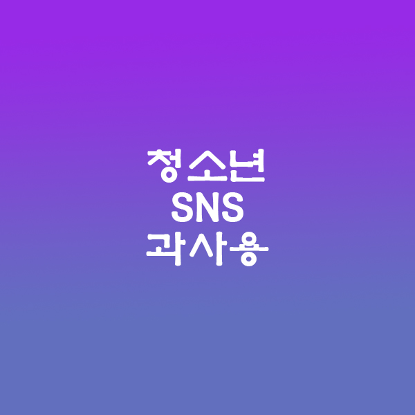 SNS과사용