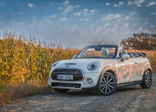 대학생이 미니쿠퍼를 타면 생기는 일