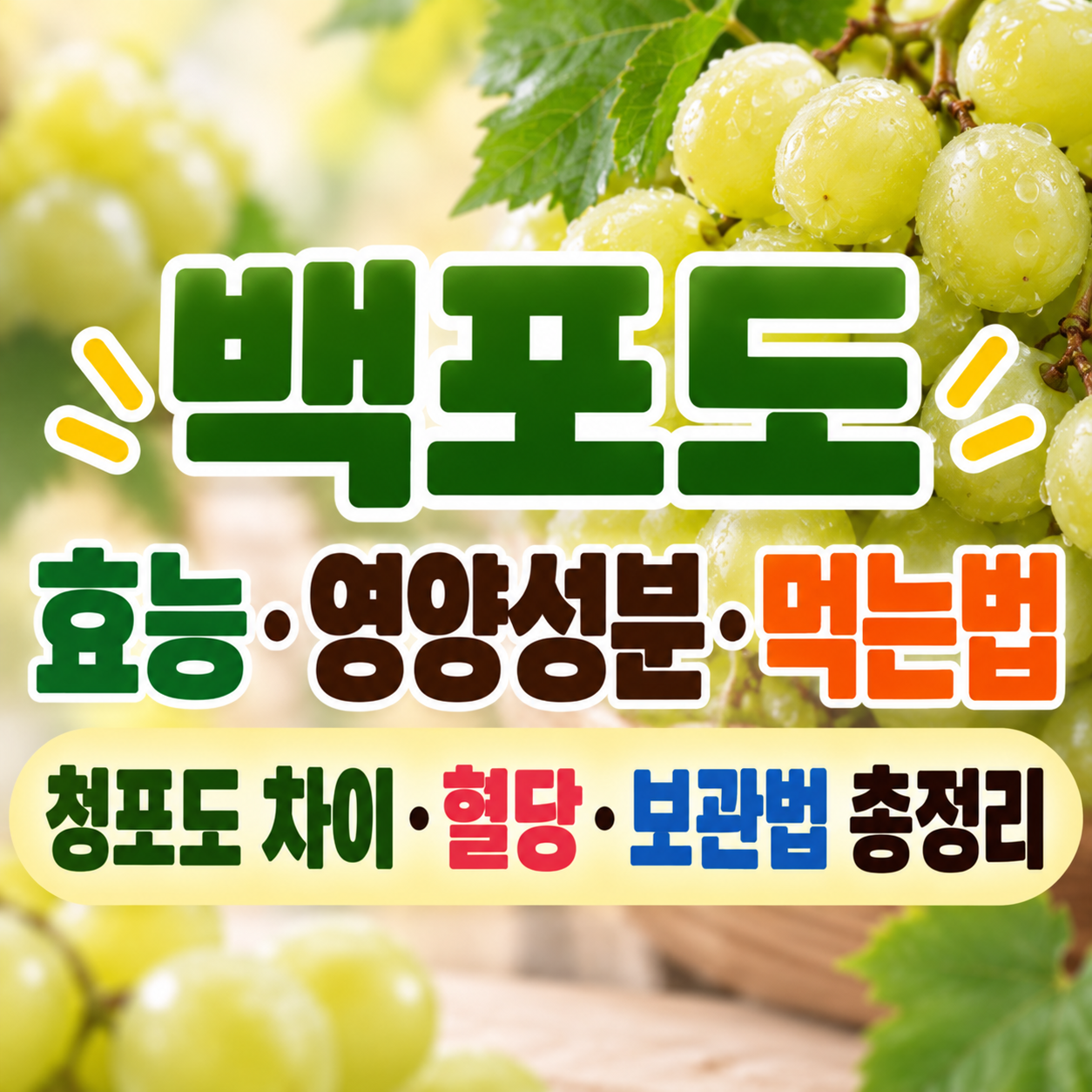 백포도 효능