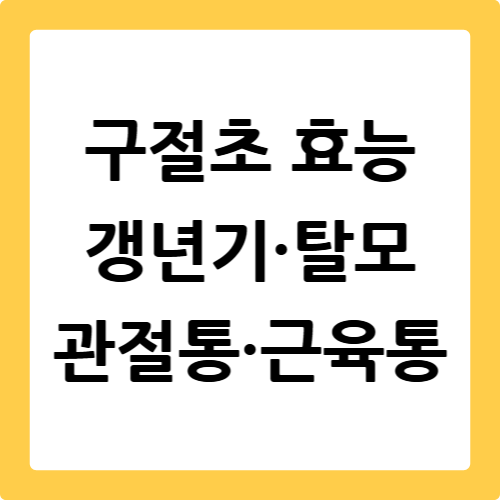 구절초 효능