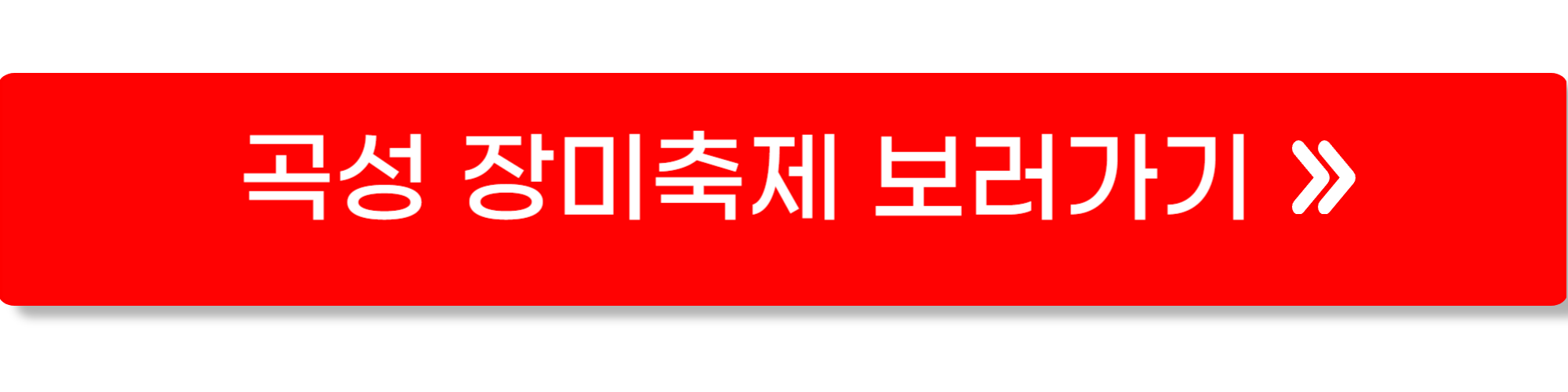 곡성 장미축제1
