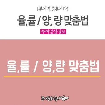 율 률 맞춤법 완벽정리 합격률 합격율_6