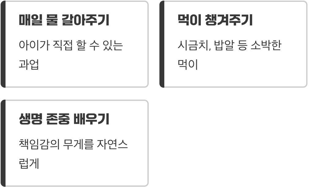 작은 생명이 가르쳐주는 책임감의 무게