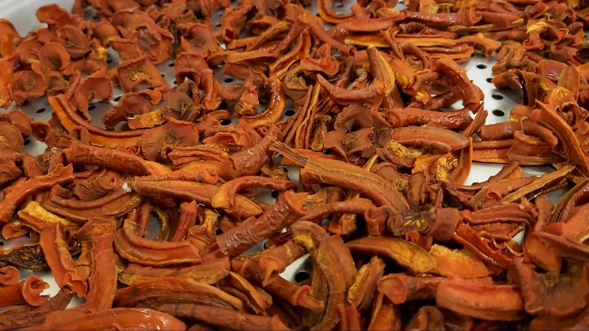 가족 눈건강 지키는 당근차 효능과 만드는 법