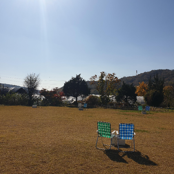 고양 카페 다위스(DAWIS): 맛에 대한 고집과 애견 동반이 가능한 카페_카페 앞 잔디밭