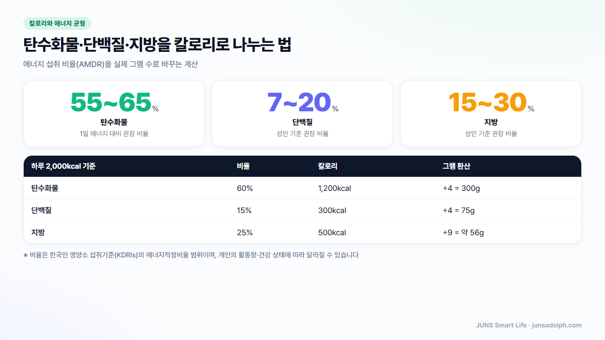 탄수화물 단백질 지방 비율을 그램으로 환산한 도식