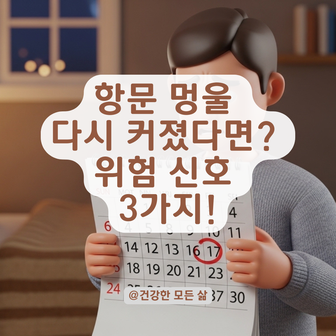 항문 멍울 작아지다 다시 부풀 때, 재진료가 필요한 결정적 시기