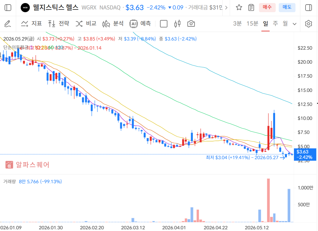 웰지스틱스 헬스 주가 차트